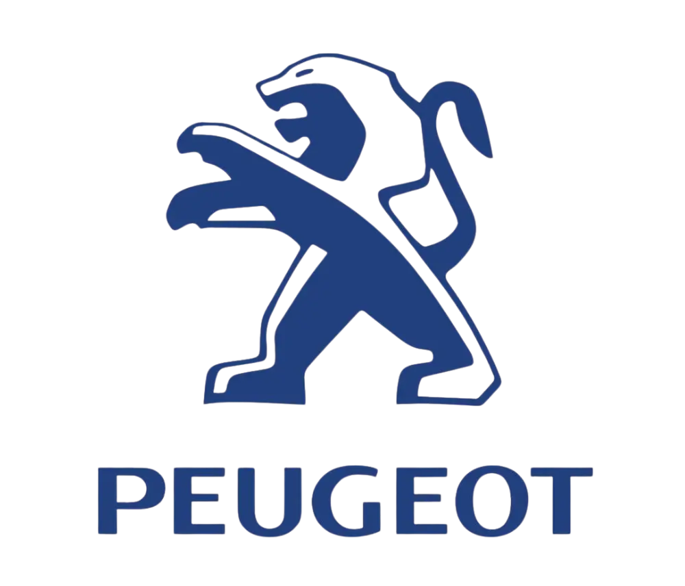 تعمیرات فرمان خودروهای پژو